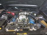 Ford Shelby Gt500 1ZVBP8JZ1D5279951 photo