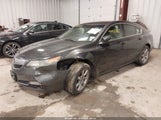 Acura Tl 3.5 19UUA8F53DA005047 снимка