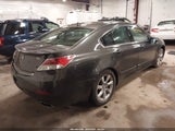 Acura Tl 3.5 19UUA8F53DA005047 снимка