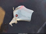 Toyota Corolla Le 2T1BU4EE9AC345138 снимка