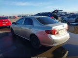 Toyota Corolla Le 2T1BU4EE9AC345138 снимка