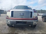 Ford F-150 Fx4/Harley-Davidson/King Ranch/Lariat/Platinum/Xl/Xlt 1FTFW1EV6AFD40058 photo