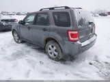Ford Escape Xlt 1FMCU9DG9BKA60858 fotografie
