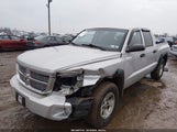 Dodge Dakota Slt 1D7HW48N08S508015 снимка