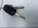 Miniaturka zdjęcia 11