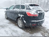 Miniaturka zdjęcia 3