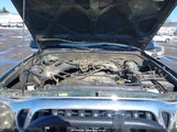 Toyota Tacoma Base V6 5TEWN72N12Z035629 photo