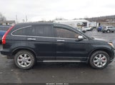 Honda Cr-V Ex JHLRE48537C049737 снимка