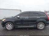 Honda Cr-V Ex JHLRE48537C049737 снимка
