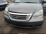 Honda Odyssey Ex-L 5FNRL38768B111361 снимка