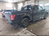 Ford F-150 Xlt 1FTEW1EP8HFA72301 снимка