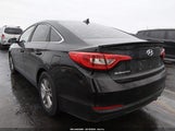 Hyundai Sonata Se 5NPE24AF9GH314897 снимка