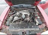 Ford Mustang Gt/Gts 1FALP45T3SF183838 photo