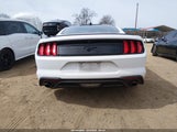 Ford Mustang Ecoboost Fastback 1FA6P8TH6N5149261 снимка