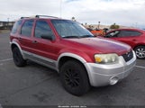 Ford Escape Xlt/Xlt Sport 1FMCU03117KA26140 fotografie