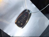 Miniaturka zdjęcia 11