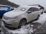 Honda Odyssey Ex-L 5FNRL5H6XBB014626 снимка