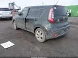 Miniaturka zdjęcia 3