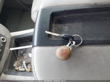 Miniaturka zdjęcia 11