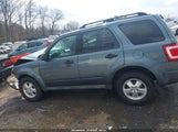 Ford Escape Xlt 1FMCU0DG5BKA41672 fotografie