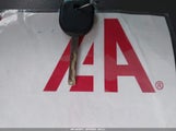 Miniaturka zdjęcia 11