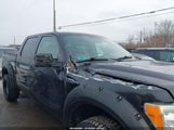 Ford F-150 Fx4/Harley-Davidson/King Ranch/Lariat/Platinum/Xl/Xlt 1FTFW1EV1AFA85867 снимка