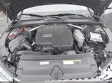 Audi A4 Premium Plus 40 Tfsi Quattro S Tronic WAUBBAF47NN001740 снимка