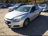 Chevrolet Malibu 1Fl 1G11A5SL9EF154421 fotografie