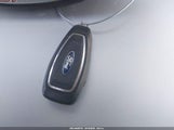 Miniaturka zdjęcia 11