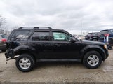 Ford Escape Xlt 1FMCU9DG8CKB76487 photo