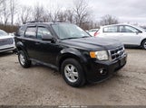 Ford Escape Xlt 1FMCU9DG8CKB76487 fotografie