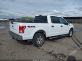 Ford F-150 Xlt 1FTEW1E88GKD00442 снимка