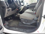 Ford F-150 Xlt 1FTEW1E88GKD00442 снимка