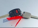 Miniaturka zdjęcia 11