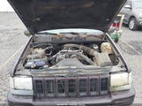 Miniaturka zdjęcia 10