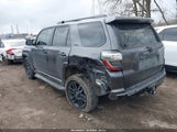 Miniaturka zdjęcia 3