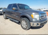 Ford F-150 Xlt 1FTFW1ET9EFB76521 снимка