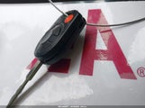 Miniaturka zdjęcia 11
