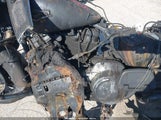 Harley-Davidson Flhr 1HD1FBC10MB655349 fotografie