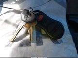 Miniaturka zdjęcia 11