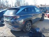 Hyundai Tucson Limited 5NMJECDE9SH509634 photo
