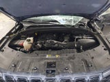 Jeep Grand Cherokee Limited 4X4 1C4RJHBG6SC354944 fotografie
