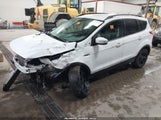 Miniaturka zdjęcia 2