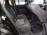 Miniaturka zdjęcia 8