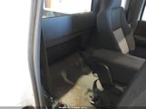 Miniaturka zdjęcia 8