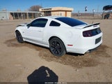 Ford Mustang Gt Premium 1ZVBP8CF0E5249778 fotografie