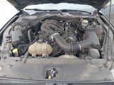Ford Mustang V6 1FA6P8AM8G5278864 снимка