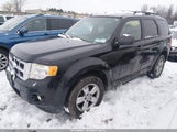 Ford Escape Xlt 1FMCU9D76AKA12040 снимка
