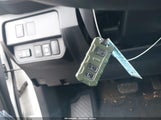 Miniaturka zdjęcia 11