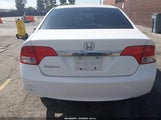 Honda Civic Lx 2HGFA1F58BH505896 снимка